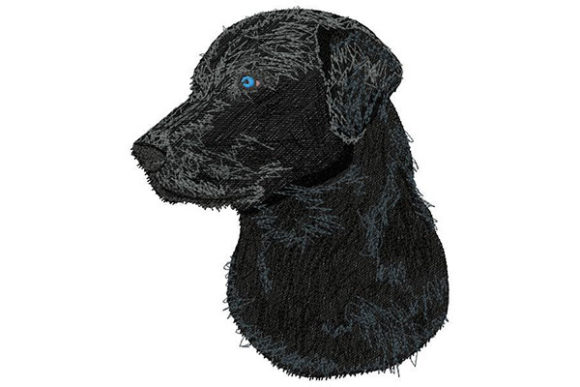 Labrador Retriever Looking to the Side: A Designer Review